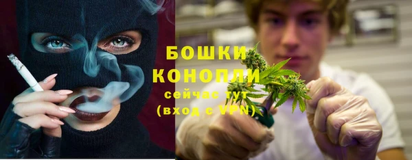 герыч Пересвет