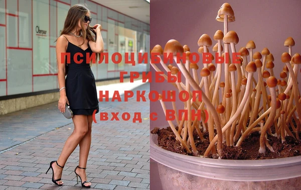 гашиш Переславль-Залесский
