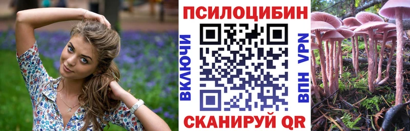даркнет сайт  Багратионовск  Псилоцибиновые грибы мухоморы 