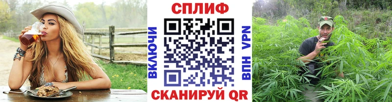 Каннабис OG Kush  ОМГ ОМГ как зайти  Багратионовск 